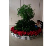 中水噴灌機(jī)卷盤(pán)式JP50 農(nóng)業(yè)高效澆灌與綠植養(yǎng)護(hù)的創(chuàng)新解決方案
